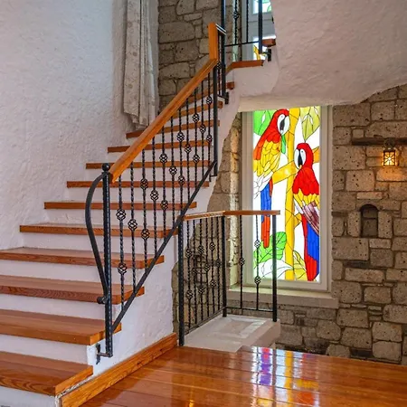 Fener Burnunda Denize Sifir Orjinaltas Malikane 빌라